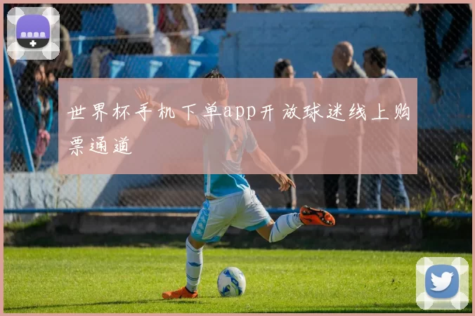 世界杯手机下单app开放球迷线上购票通道
