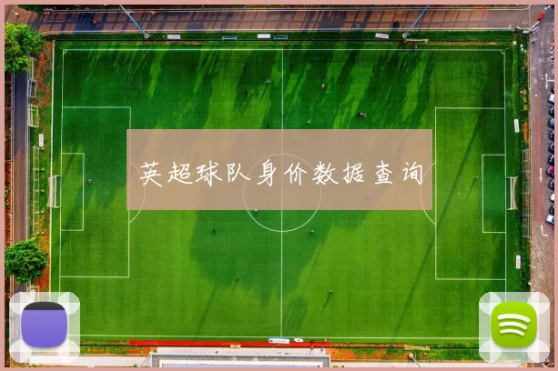英超球队身价数据查询