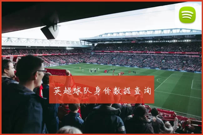 英超球队身价数据查询