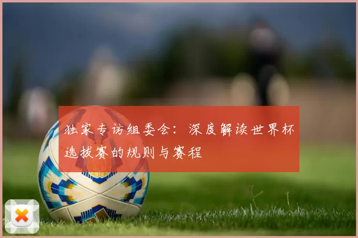 独家专访组委会：深度解读世界杯选拔赛的规则与赛程