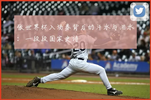 张世界杯入场券背后的汗水与泪水:一段段国家史诗