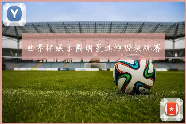 世界杯娱乐圈明星扎堆现场观赛