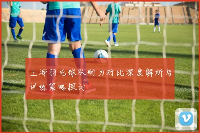上海羽毛球队耐力对比深度解析与训练策略探讨
