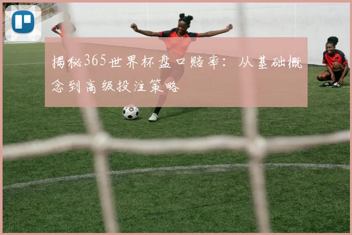 揭秘365世界杯盘口赔率：从基础概念到高级投注策略