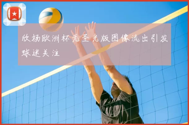 欣杨欧洲杯无圣光版图像流出引发球迷关注
