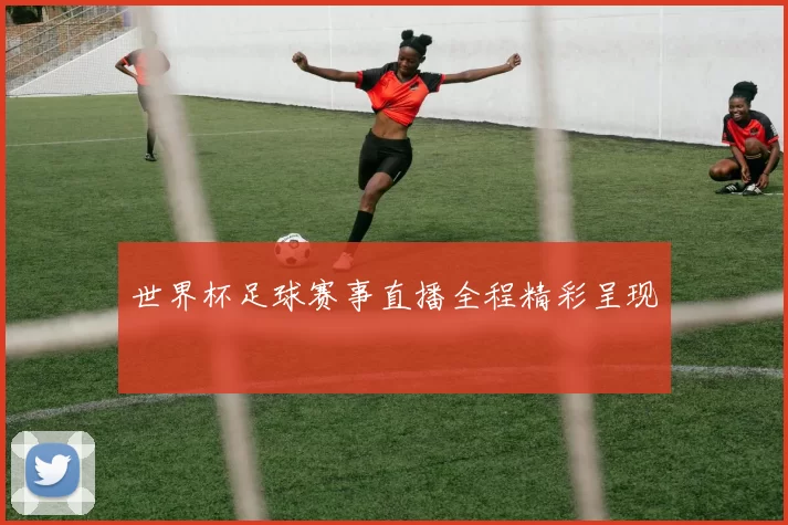 世界杯足球赛事直播全程精彩呈现