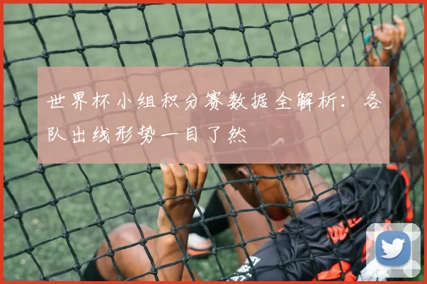 世界杯小组积分赛数据全解析:各队出线形势一目了然