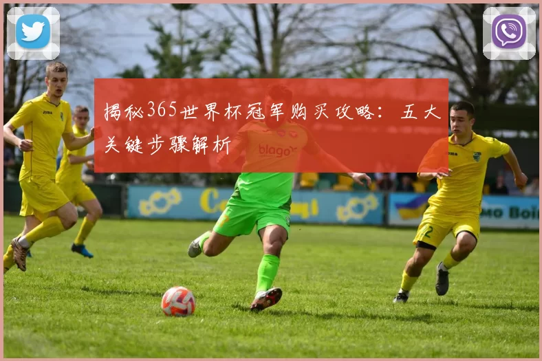 揭秘365世界杯冠军购买攻略:五大关键步骤解析