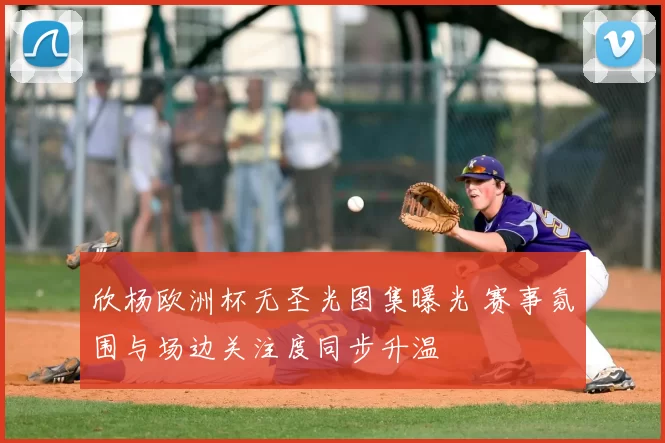 欣杨欧洲杯无圣光图集曝光 赛事氛围与场边关注度同步升温