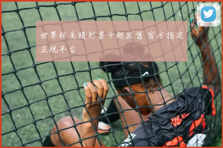 世界杯竞猜彩票今起发售 官方指定正规平台