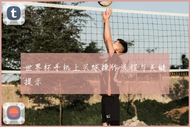 世界杯手机上买球操作流程与关键提示