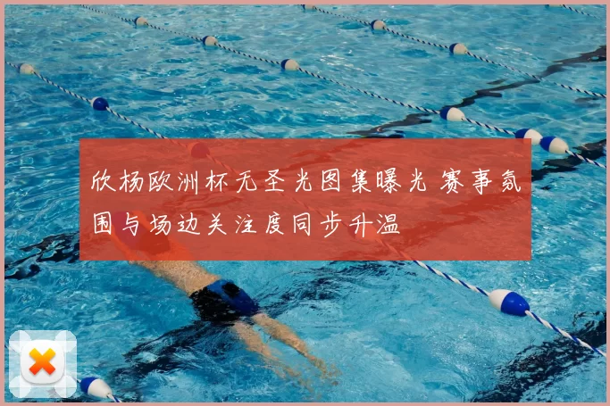 欣杨欧洲杯无圣光图集曝光 赛事氛围与场边关注度同步升温