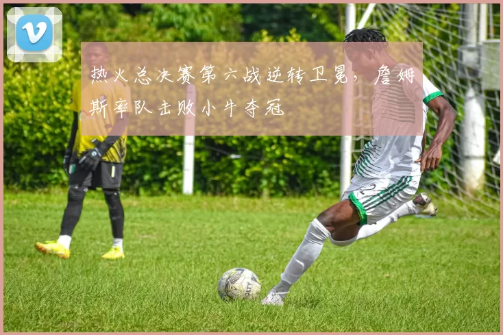 热火总决赛第六战逆转卫冕，詹姆斯率队击败小牛夺冠