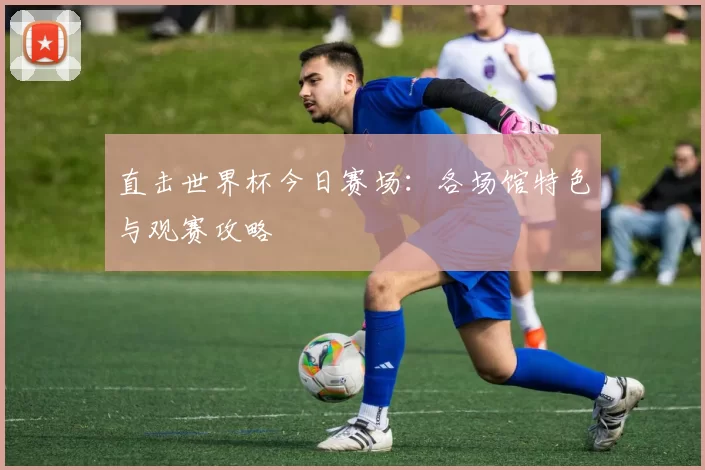 直击世界杯今日赛场：各场馆特色与观赛攻略