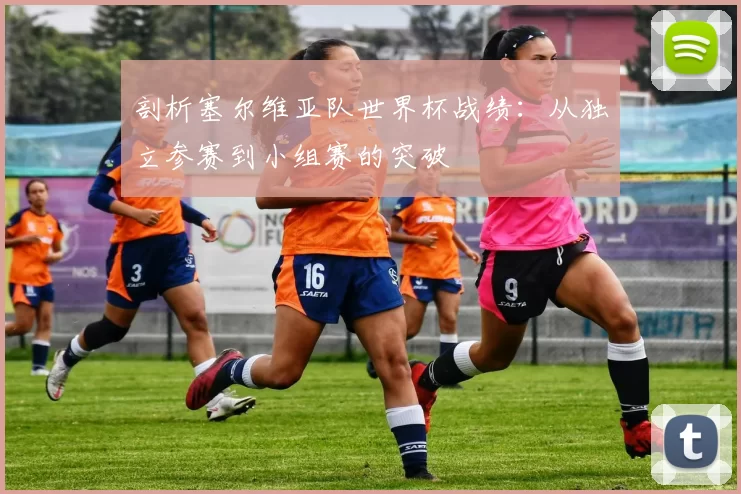 剖析塞尔维亚队世界杯战绩：从独立参赛到小组赛的突破