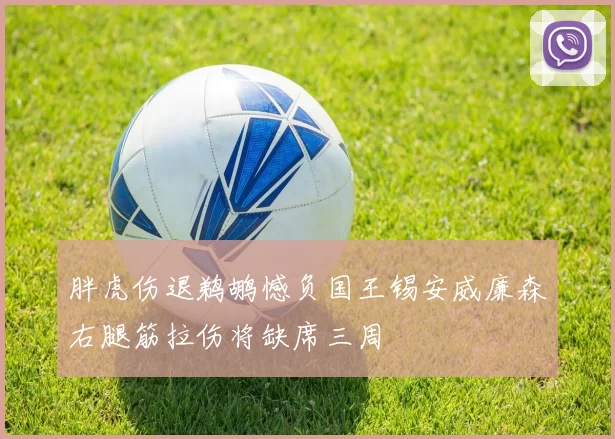 胖虎伤退鹈鹕憾负国王锡安威廉森右腿筋拉伤将缺席三周