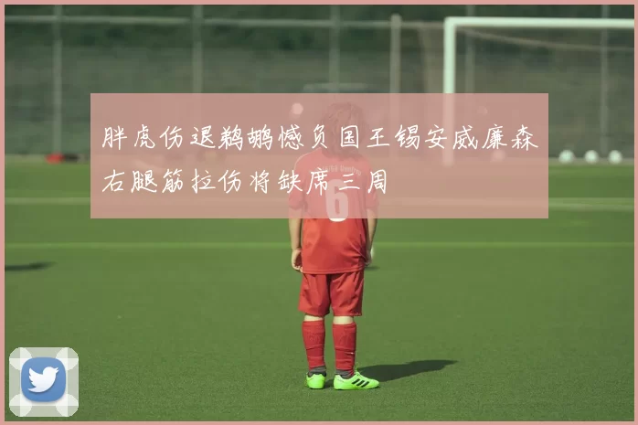 胖虎伤退鹈鹕憾负国王锡安威廉森右腿筋拉伤将缺席三周