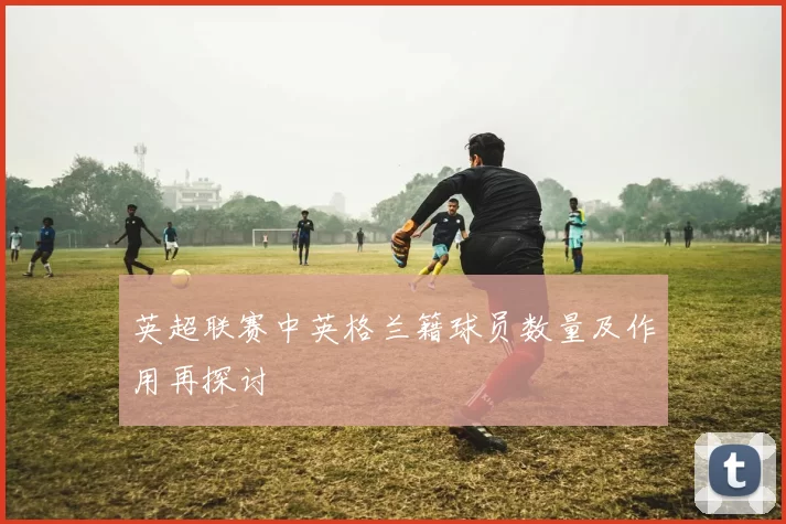 英超联赛中英格兰籍球员数量及作用再探讨