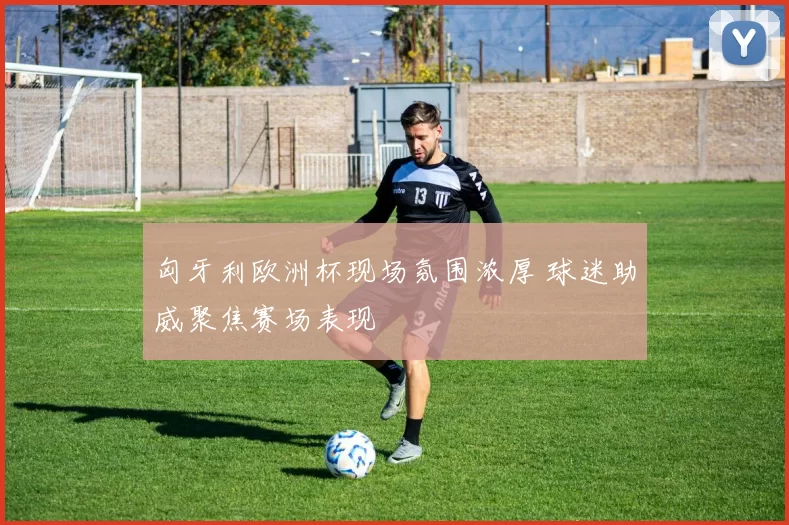 匈牙利欧洲杯现场氛围浓厚 球迷助威聚焦赛场表现