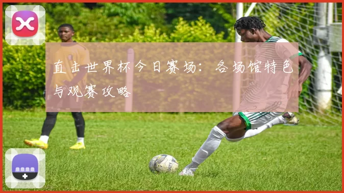 直击世界杯今日赛场：各场馆特色与观赛攻略