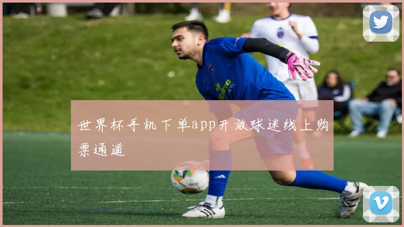 世界杯手机下单app开放球迷线上购票通道