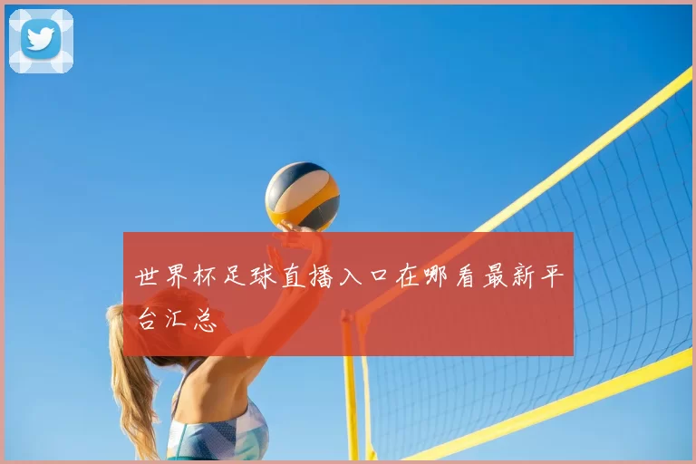 世界杯足球直播入口在哪看最新平台汇总